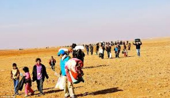  Five IDPs die of thirst south of Hasakah