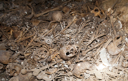  62 mass graves with thousands of Yazidi victims’ relics found in Sinjar: Official