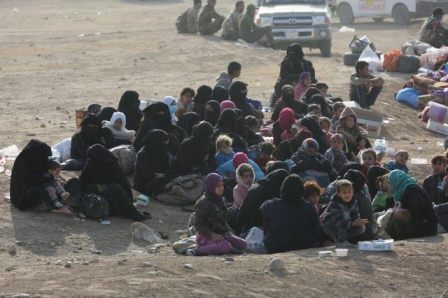  Federal Police announces evacuating 480 IDPs west of Mosul