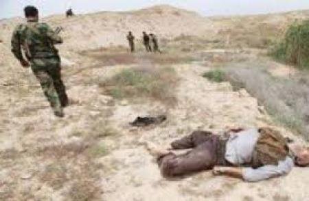  ISIS Military Commander in Fallujah, 8 other members killed in Karma area