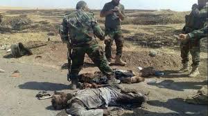  7 ISIS elements killed in al-Karma District east of Fallujah