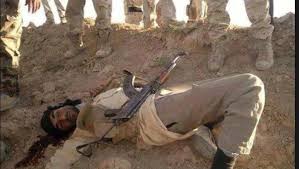  8 ISIS elements killed including Afghan senior commander east Salah al-Din