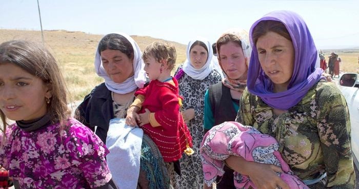  75% of Yezidi people freed from Islamic State: official