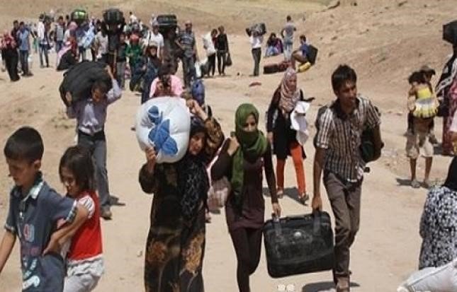  112 families fleeing from ISIS-held Hawija arrive in Kirkuk