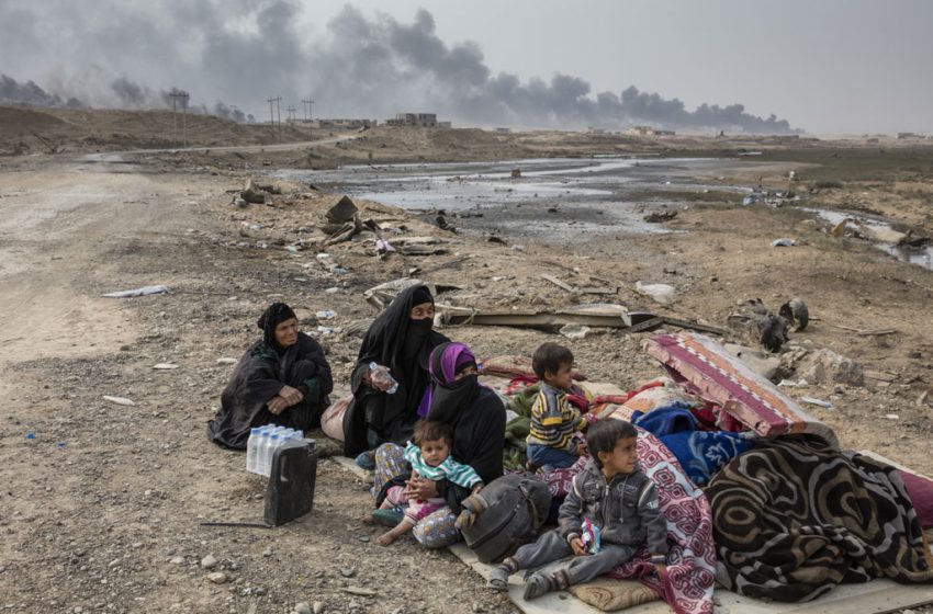  Over thirty families flee Islamic State’s havens in Anbar