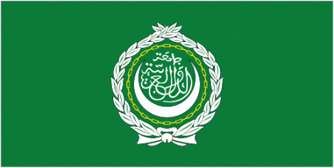  FM receives Arab League delegation