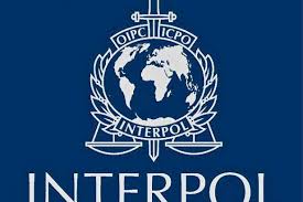  Interpol arrests nine wanted people in Karbala
