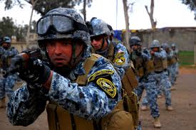  Federal Police kills 12 ISIS elements in security operation east of Ramadi