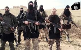  Islamic State still present at Diyala-Salahuddin borders: official