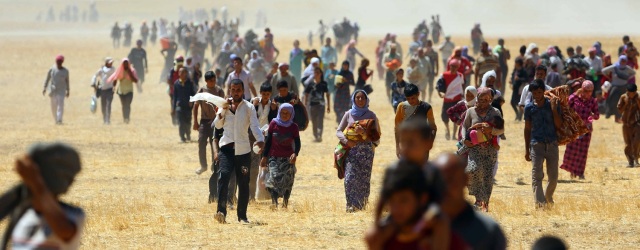  Over 100 Yazidis leave Iraq everyday, says official