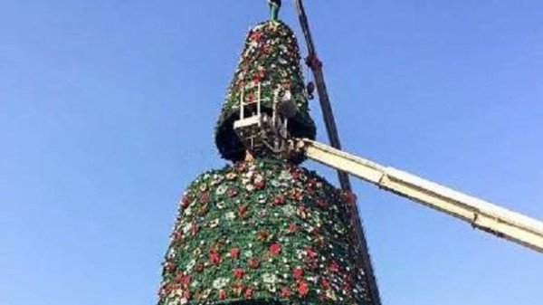  Mayoralty of Baghdad sets up Christmas trees in Mansour and Karrada