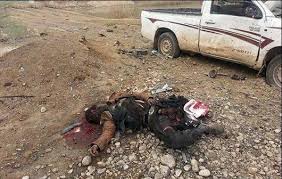  Eight Islamic State members killed in southwestern Kirkuk