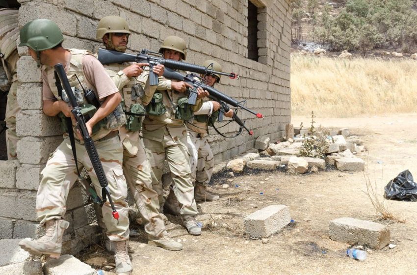  U.S., Peshmerga seeks getting 600 Islamic State members into disputed regions: Expert