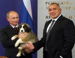  Putin presents Russian cat in response to Japanese puppy