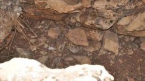  Valauble archeological documents found in Dohouk