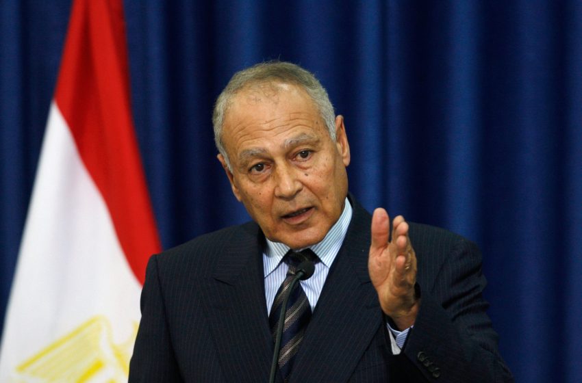  Arab League chief starts official visit to Iraq