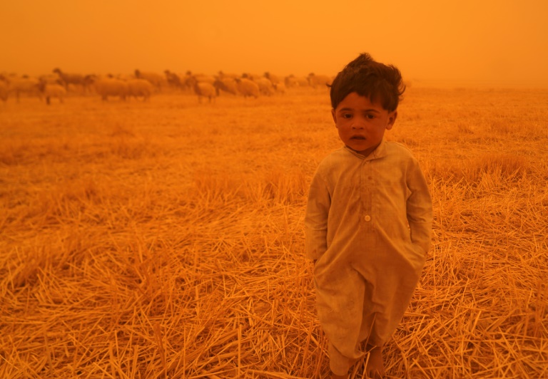  Iraq sandstorm grounds flights, sends 1,000 to hospitals