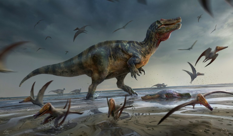  Europe’s ‘largest predatory dinosaur’ found by UK fossil hunter