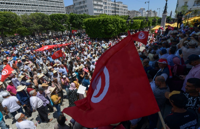  Tunisian protesters decry constitutional reform plans, judicial purge