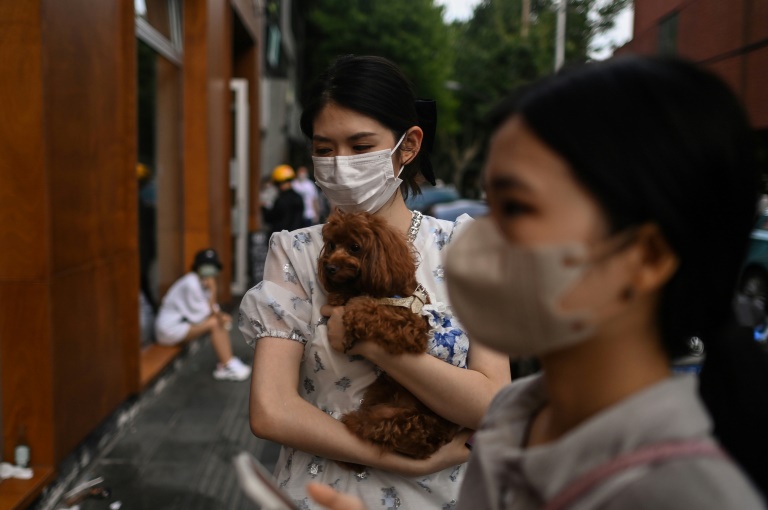  Shanghai reports zero Covid cases for first time since outbreak