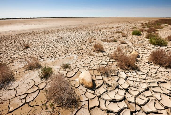  Environment Ministry calls for strategy to combat desertification