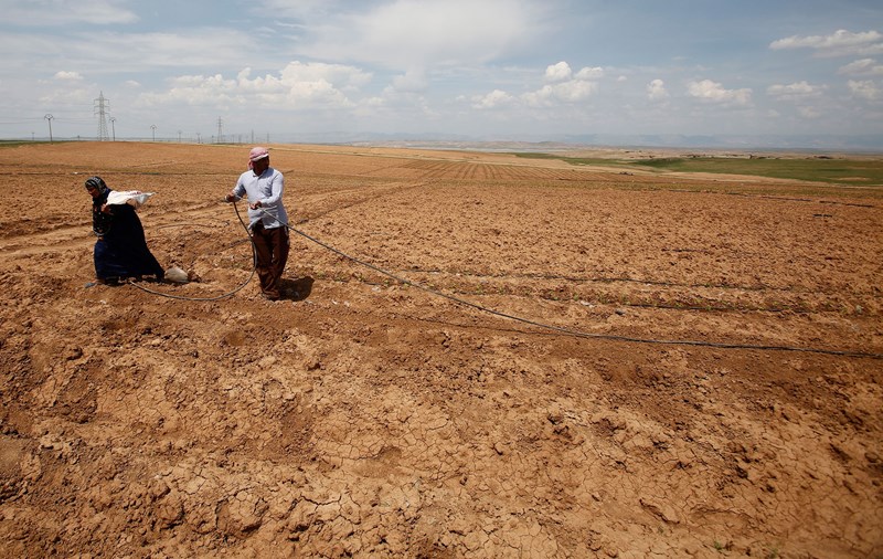  Iraqi planting area reduced by 50% due to water scarcity