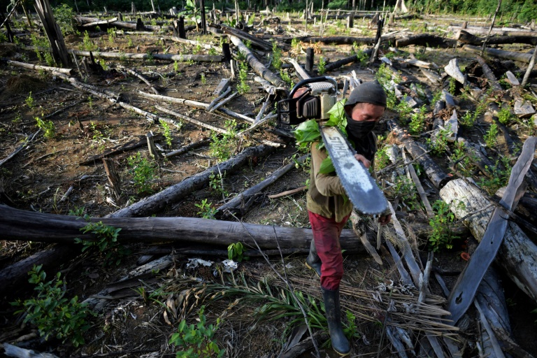  Colombian deforestation policy ‘failure’ a headache for new government