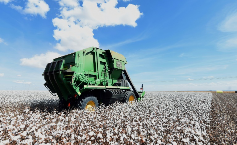  Brazil farmers bet on environmentally friendly cotton