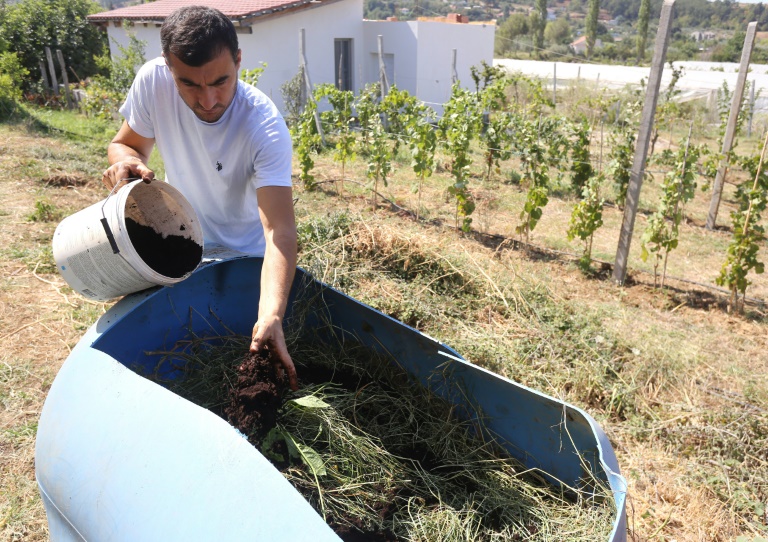  Albanian farmer feeds coffee to fields amid fertiliser crunch