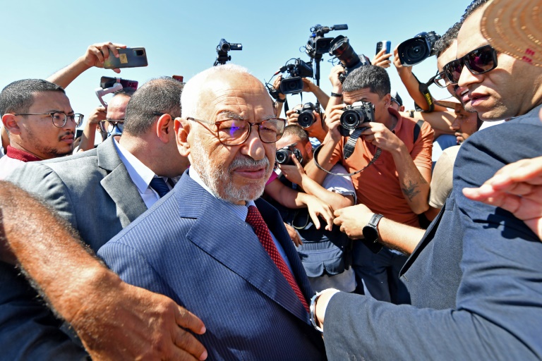  Anti-terror probe of Tunisia opposition chief delayed