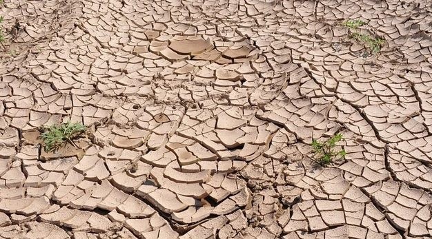  Iraq unveils integrated project to stop desertification