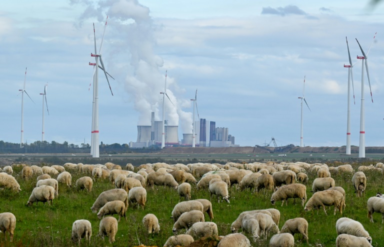  IEA sees global emissions peaking in 2025