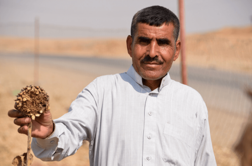  Iraq’s drought destroys income and crops: NRC