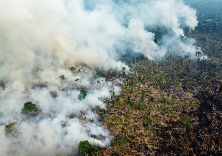  Rainforest giants Brazil, Indonesia, DR Congo sign deforestation pact