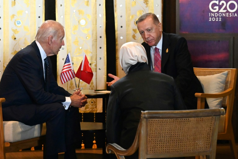  Biden, Erdogan discuss Ukraine grain exports: White House
