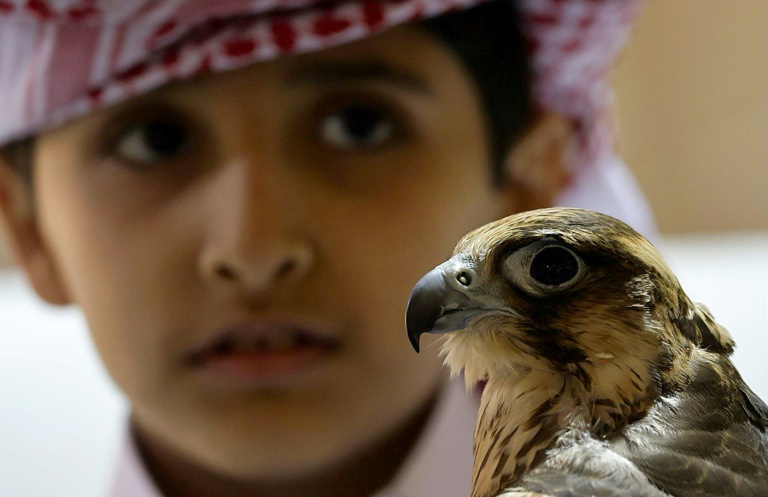  Falconers hope to draw World Cup fans to Qatar heritage