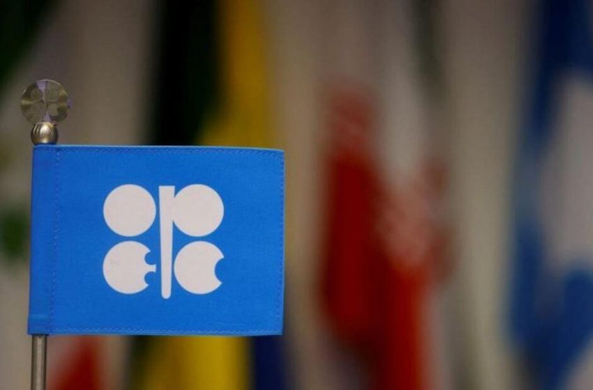  SOMO confirms OPEC+ decision to reduce production stabilizes global markets