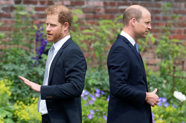  Prince Harry takes aim at William