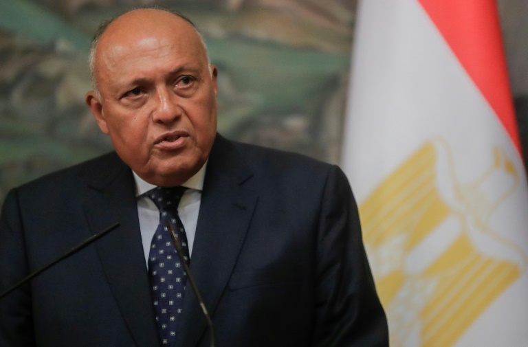  Egypt FM heads to Syria for first time in decade