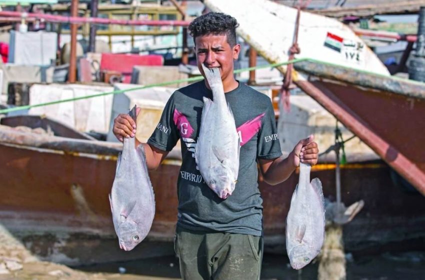  Marine Syndicate condemns Kuwaiti attack on Iraqi fishermen