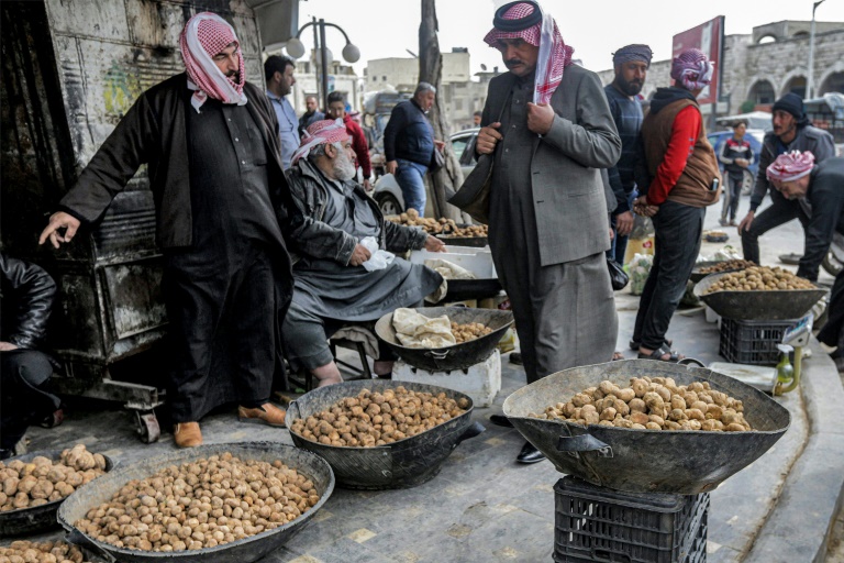  ‘Treat dipped in blood’: Syrians risk their lives for truffles