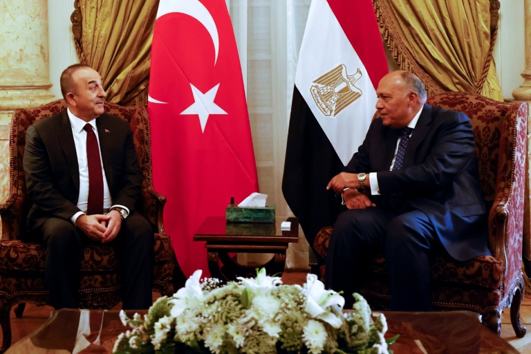  Erdogan and Egypt’s Sisi to meet
