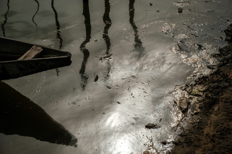  Cleanup of oil-polluted Nigerian state would cost $12 bn: report