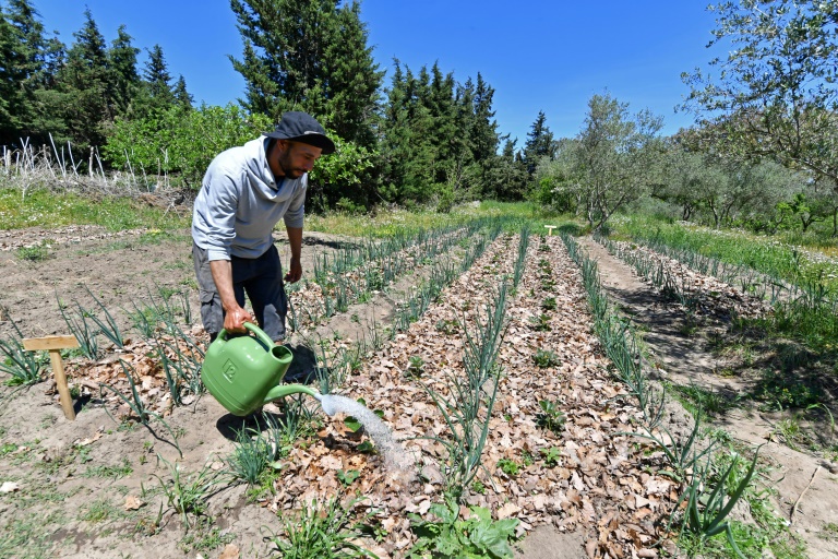  Planet-friendly farming takes root in drought-hit Tunisia