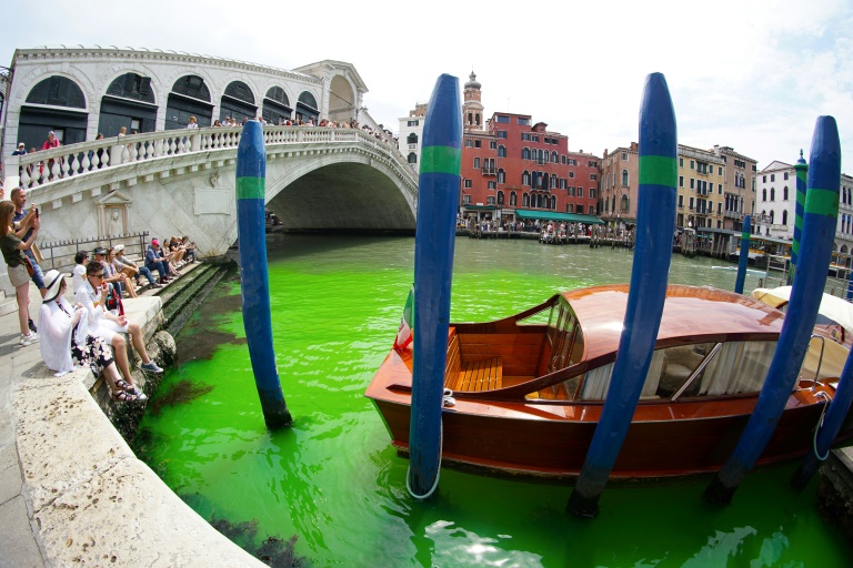  Venice’s Grand Canal turns phosphorescent green