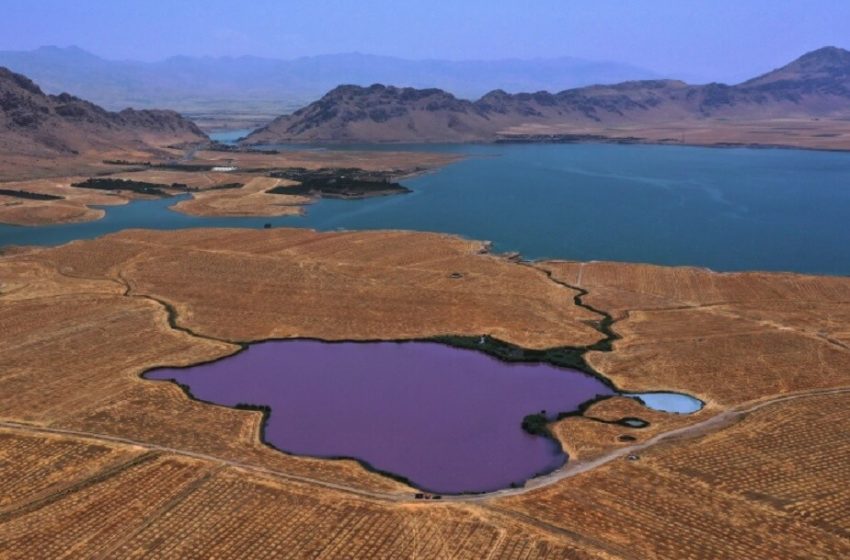  Iraq’s Violet Lake rare animals about to extinct