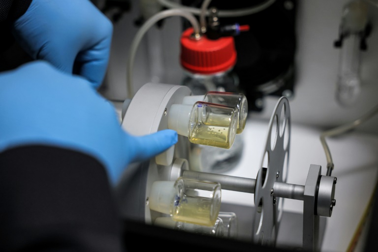  Lab-grown human embryo models spark calls for regulation