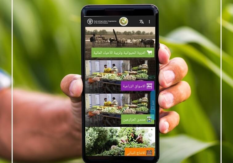  FAO, Agriculture Ministry launch digital app to benefit Iraqi farmers