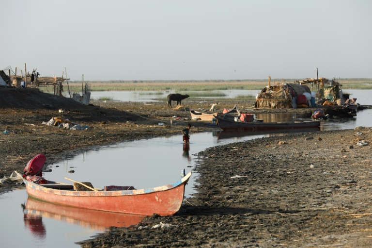  Iraq’s marshes suffering its worst heatwave in 40 years