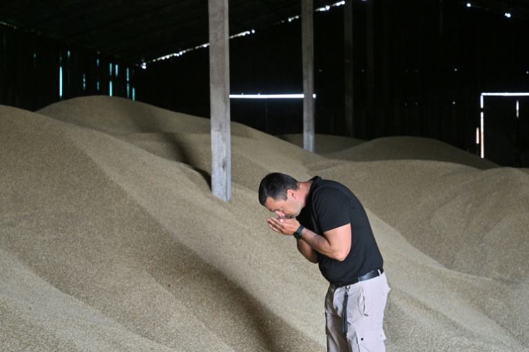  ‘No way out’: Ukraine farmers lament collapse of grain deal